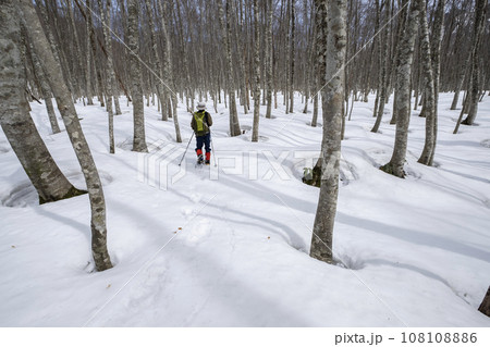 スノーシュートレッキングのイメージ　奥大山 108108886