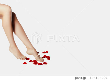 Beautiful well-groomed women's legs close-up on a 108108909