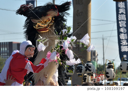 播州秋祭り 大塩天満宮 毛獅子の豪快な道中舞 ヒョットコが牡丹で獅子を操る 播州秋祭り 大塩天満宮 毛獅子の豪快な道中舞 ヒョットコが牡丹で獅子を操る 108109197