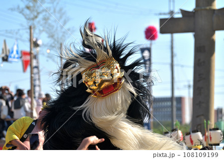 播州秋祭り　大塩天満宮　毛獅子の豪快な道中舞 108109199
