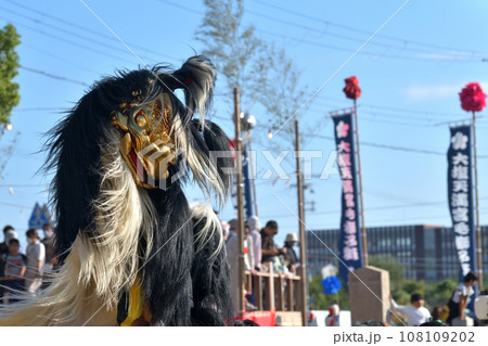 播州秋祭り 大塩天満宮 毛獅子の豪快な道中舞 播州秋祭り 大塩天満宮 毛獅子の豪快な道中舞 108109202