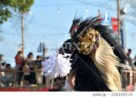 播州秋祭り 大塩天満宮 毛獅子の豪快な道中舞 播州秋祭り 大塩天満宮 毛獅子の豪快な道中舞 108109210