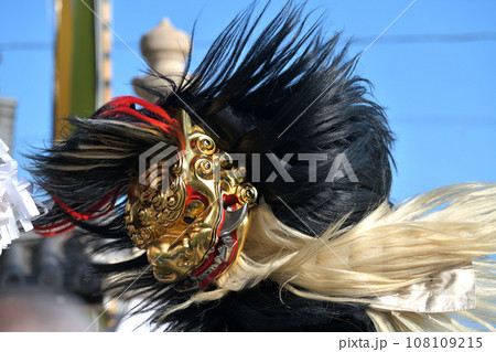 播州秋祭り 大塩天満宮 毛獅子の豪快な道中舞の写真素材 [108109215