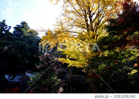 鉾田市・厳島神社　＃25 108109240
