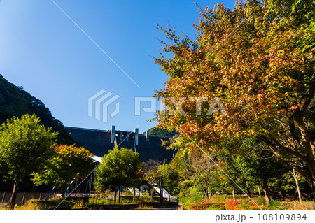 神奈川県 秋の宮ケ瀬ダム 神奈川県 秋の宮ケ瀬ダム 108109894