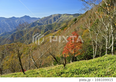 奥日光半月山登山道からの紅葉の木々に足尾山塊 奥日光半月山登山道からの紅葉の木々に足尾山塊 108109915