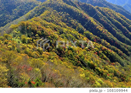 奥日光半月山駐車場からの紅葉の山肌 奥日光半月山駐車場からの紅葉の山肌 108109944