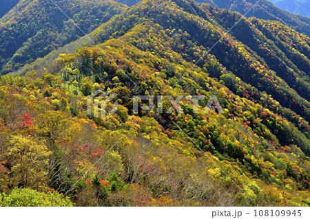 奥日光半月山駐車場からの紅葉の山肌 奥日光半月山駐車場からの紅葉の山肌 108109945