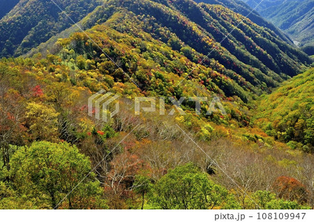 奥日光半月山駐車場からの紅葉の山肌 奥日光半月山駐車場からの紅葉の山肌 108109947