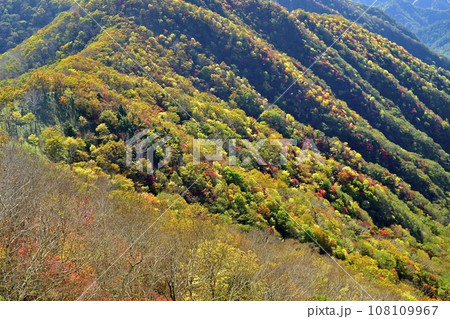 奥日光半月山駐車場からの紅葉の山肌 奥日光半月山駐車場からの紅葉の山肌 108109967