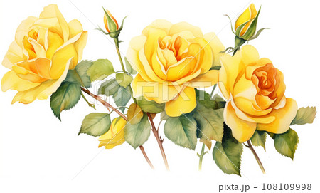 roses bunch watercolor painting on white background for floral delightful decoration. generative AI 108109998