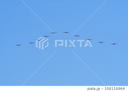 T-7初等練習機 編隊飛行 108110864