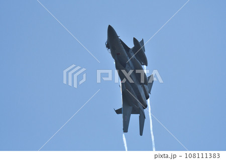F-15イーグル機動飛行 108111383