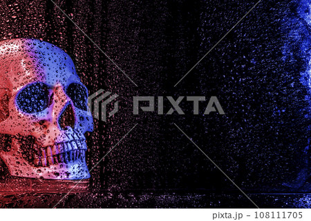 Scary skull Halloween Scary skull Halloween 108111705