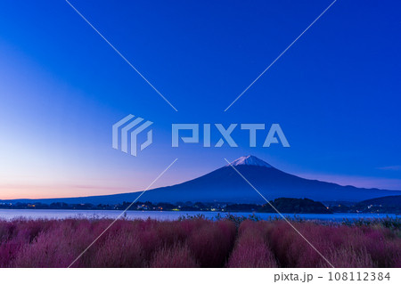 （山梨県）河口湖大石公園・紅葉したコキアと富士山の夜明け 108112384
