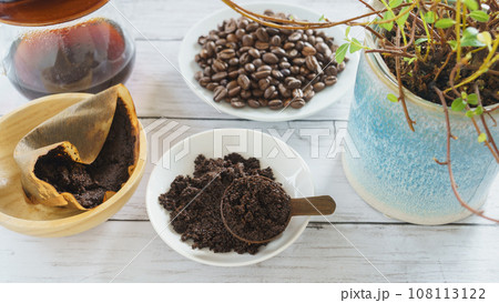 観葉植物とコーヒー豆かす｜コーヒー豆の残りカスの再利用　イメージ 108113122