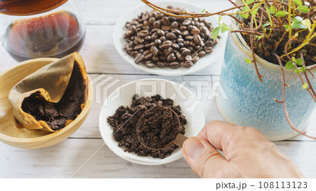 観葉植物とコーヒー豆かす|コーヒー豆の残りカスの再利用 イメージ 観葉植物とコーヒー豆かす|コーヒー豆の残りカスの再利用 イメージ 108113123