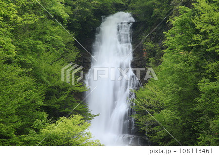 唐沢の滝上部 108113461