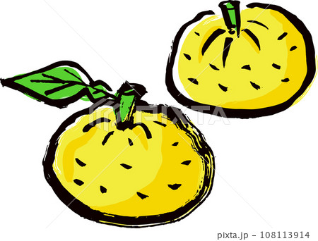 Yuzu illustration color - Stock Illustration [108113914] - PIXTA