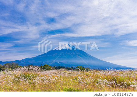 （静岡県）富士山　朝霧高原のススキ野原　秋 108114278