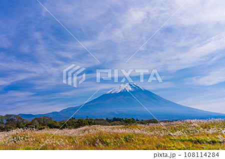 （静岡県）富士山　朝霧高原のススキ野原　秋 108114284