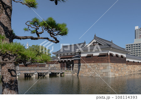 広島城二の丸のお堀に映える松 108114393