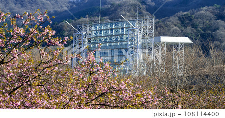 桜咲く季節 南阿蘇の山並みを背景に野外劇場風景(南阿蘇桜公園・野外アスペクタ)南阿蘇 桜咲く季節 南阿蘇の山並みを背景に野外劇場風景(南阿蘇桜公園・野外アスペクタ)南阿蘇 108114400