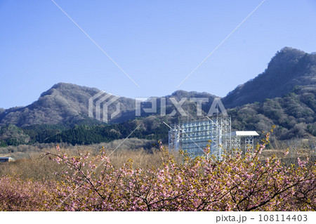 桜咲く季節　南阿蘇の山並みを背景に野外劇場風景（南阿蘇桜公園・野外アスペクタ）南阿蘇 108114403