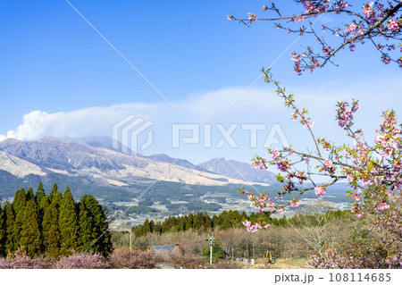 うららかな春空と阿蘇山(コピースペース素材)(南阿蘇桜公園)南阿蘇 うららかな春空と阿蘇山(コピースペース素材)(南阿蘇桜公園)南阿蘇 108114685