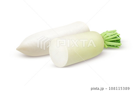 大根 イラスト リアル 108115389