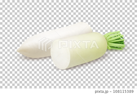 大根 イラスト リアル 108115389