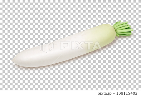 大根 イラスト リアル 108115402
