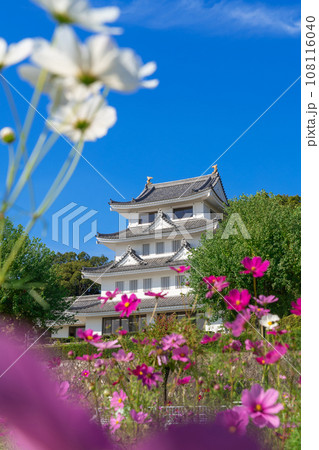 旭城と満開のコスモス〈愛知県尾張旭市〉 108116040