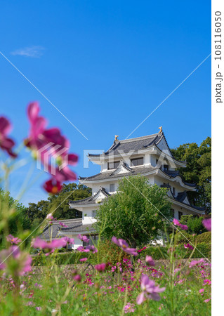 旭城と満開のコスモス〈愛知県尾張旭市〉 旭城と満開のコスモス〈愛知県尾張旭市〉 108116050