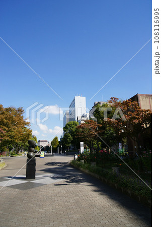 横浜大通り公園  108116995