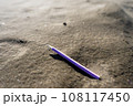 砂浜に捨てられた鉛筆 108117450