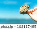 手に持った貝殻 108117465