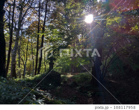 福島県西白河郡西郷村のパワースポット　剣桂神社 108117958