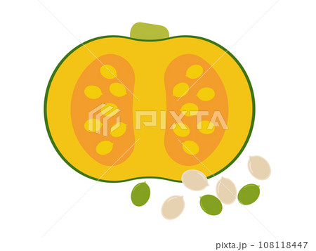 カボチャの断面とカボチャの種アイコン 108118447