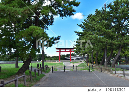 木更津・見染の松(鳥居崎海浜公園) 木更津・見染の松(鳥居崎海浜公園) 108118505
