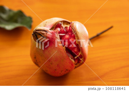 ザクロの実 108118641