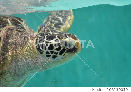 仙台うみの杜水族館 108119059