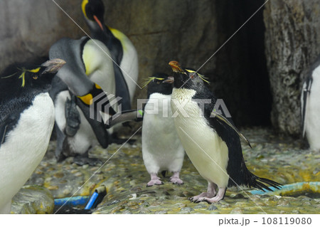 仙台うみの杜水族館 仙台うみの杜水族館 108119080
