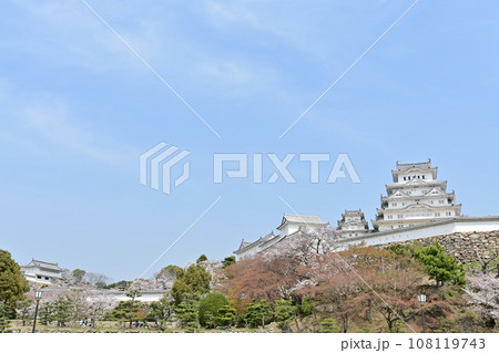 世界遺産姫路城の三の丸広場と桜が咲く季節 108119743