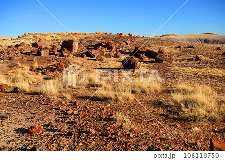 Rugged and Desolate Landscape Petrified Forest Arizona 108119750
