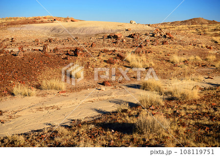 Rugged and Desolate Landscape Petrified Forest Arizona 108119751