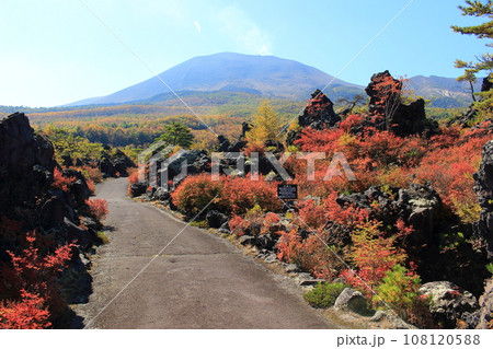 鬼押出し園～浅間山麓の溶岩による絶景 108120588