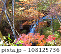 秋の奥日光の風景 108125736
