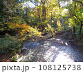 小川の風景 108125738