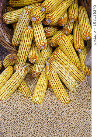 Corn Soy Seeds 108126245